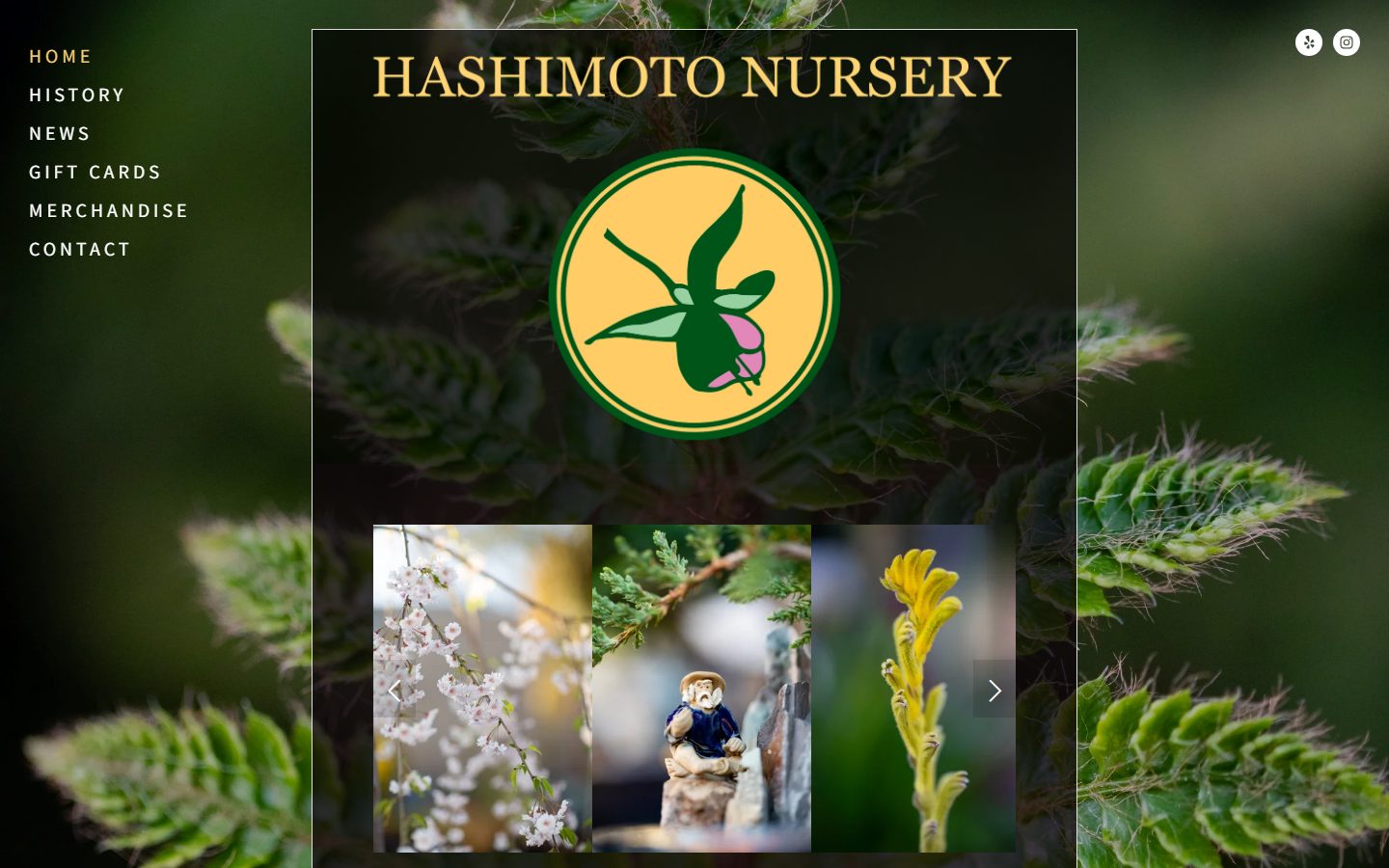 The current hashimotonursery.com homepage with the emblem, wordmark and a photo carousel